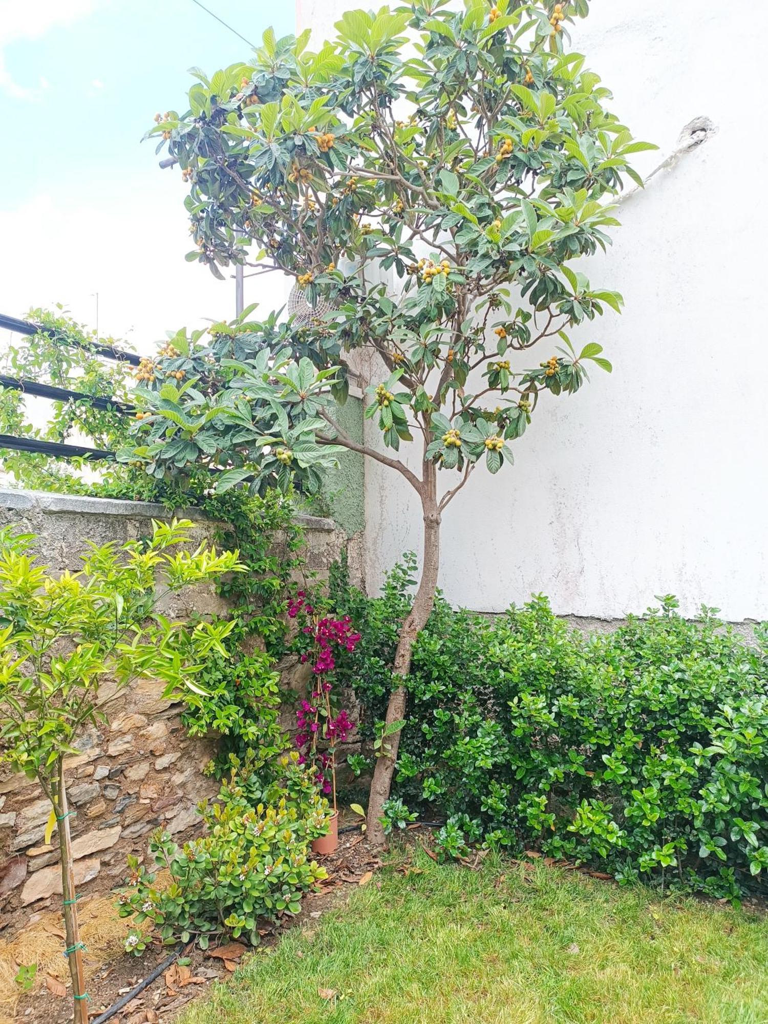 Betty'S Garden House Villa Nea Anchialos Phòng bức ảnh